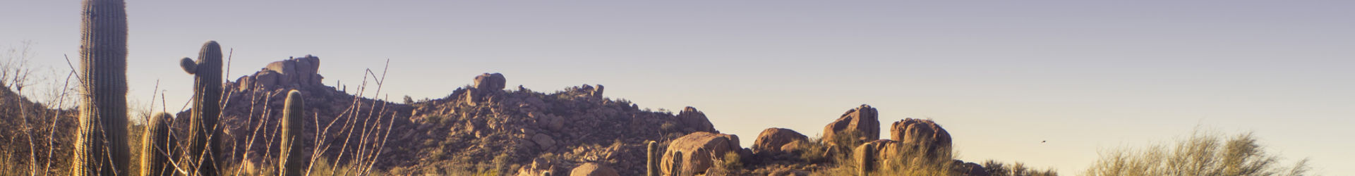 AZ Desert 03